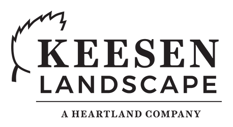 Keesen Logo